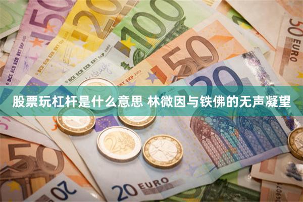 股票玩杠杆是什么意思 林微因与铁佛的无声凝望