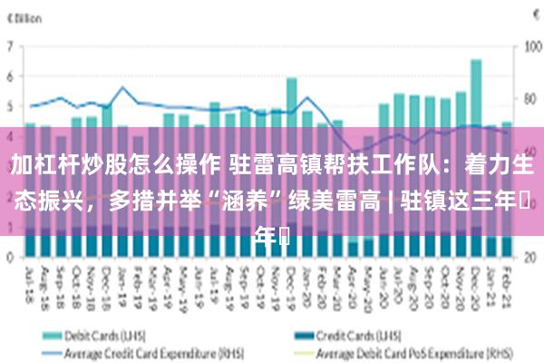 加杠杆炒股怎么操作 驻雷高镇帮扶工作队：着力生态振兴，多措并举“涵养”绿美雷高 | 驻镇这三年㉜