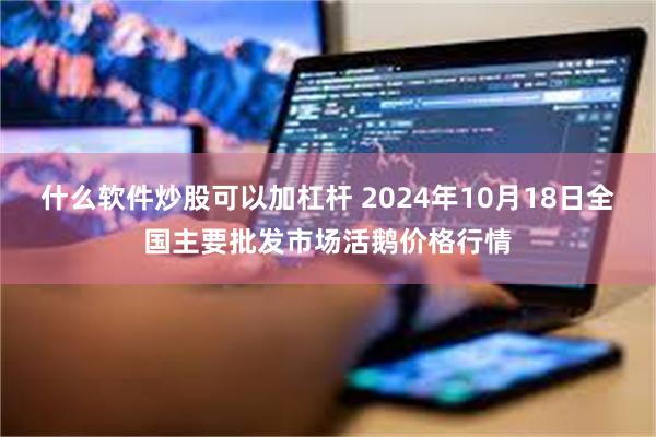 什么软件炒股可以加杠杆 2024年10月18日全国主要批发市场活鹅价格行情