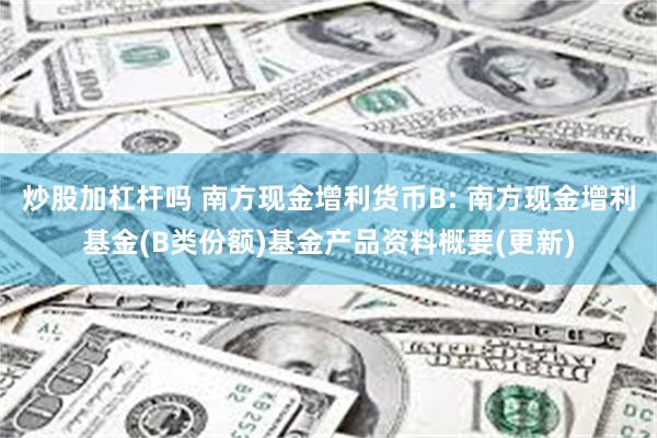 炒股加杠杆吗 南方现金增利货币B: 南方现金增利基金(B类份额)基金产品资料概要(更新)