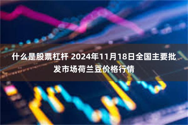 什么是股票杠杆 2024年11月18日全国主要批发市场荷兰豆价格行情