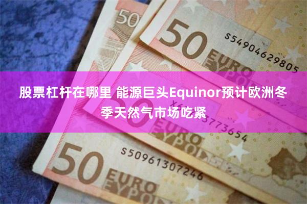 股票杠杆在哪里 能源巨头Equinor预计欧洲冬季天然气市场吃紧