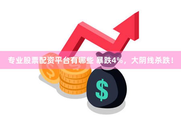 专业股票配资平台有哪些 暴跌4%，大阴线杀跌！