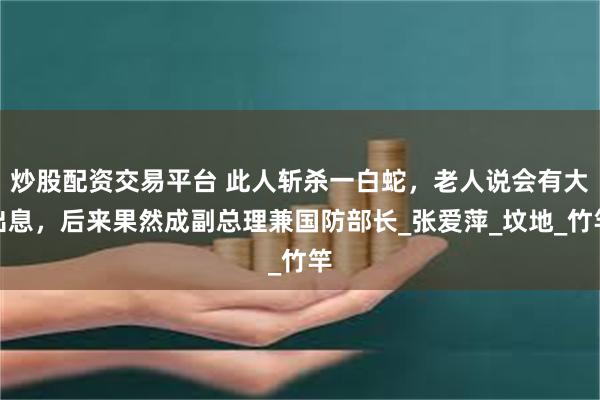 炒股配资交易平台 此人斩杀一白蛇，老人说会有大出息，后来果然成副总理兼国防部长_张爱萍_坟地_竹竿